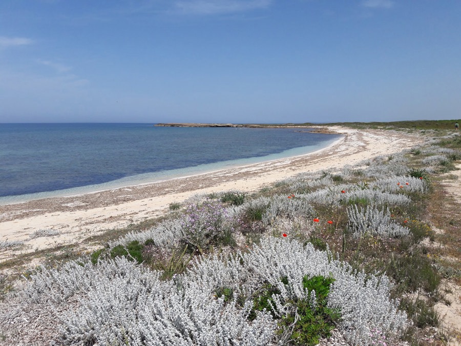 Caogheddas beach