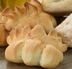 Coccoi